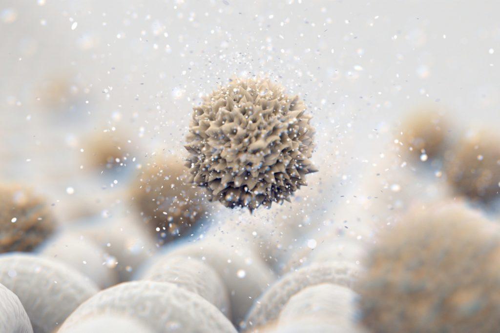 Textil Gardinenreinigung